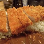 とんかつ檍のカレー屋 いっぺこっぺ 蒲田西口店 - ロースかつカレー