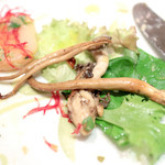 カランドリエ - ヤナギマツタケかな？ '14 11月上旬