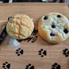WILD CAT Bakery