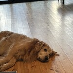 仁之助コーヒー - 