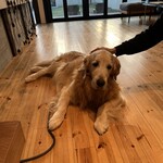 仁之助コーヒー - 