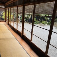 からすみ蕎麦 月と松 - 