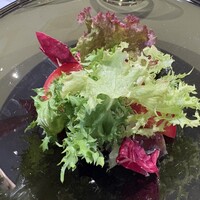 レストラン タニ - 