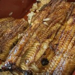 升川 - 【2025.11.16(日)】うな重