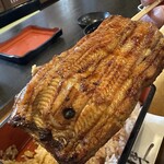 升川 - 【2025.11.16(日)】うな重の蒲焼