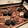 Terres de Truffes, Tokyo - 