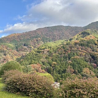 ベラヴィスタ_0