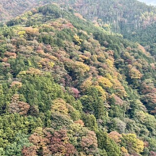 ベラヴィスタ_1