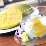 Coconut pudding with mango sauce