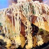 ひまわり - 