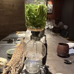 グラール - レモングラス茶