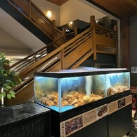 かに道楽 新宿本店 - 