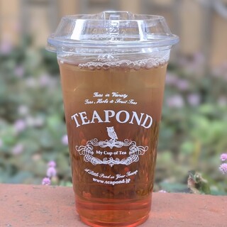 紅茶専門店 ティーポンド_0