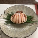 割烹　梅鉢 - セイコガニ
