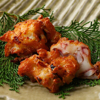 烏賊ごろさつま揚げ