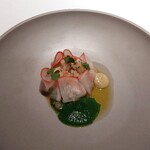 MOTORA  - 