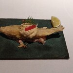 MOTORA  - 