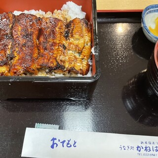 うなぎ処 かねはち_0