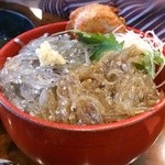 しらす市場 - 生しらすと沖漬けの2色丼