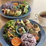 ゼルコバ食堂 - 