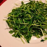 健康中華 青蓮 - 