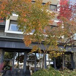 カフェ&キッチン ドリトル - 木々が紅葉してて良き＾＾
