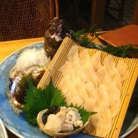 河太郎 中洲本店 - オコゼ