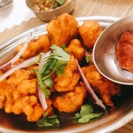 エリックサウス - ゴビ65 カリフラワーです