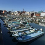 食堂はまかぜ - 船が沢山並んでいます