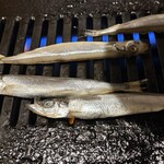 博多野菜巻き串ともつ焼き すみび 大和本店 - 