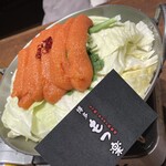 博多 もつ楽 - 
