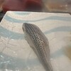 江戸銀