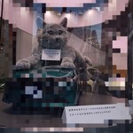 築地青空三代目 - 銀座の街にいた。。噂の猫だ