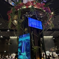 リュクス ダイニング ハプナ - 