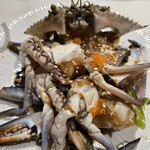 サムギョプサル専門店 金ちゃん - 