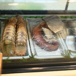 寿司・うなぎ 羽子吾 - 美味しそうな魚介類がネタケースに並んでいます