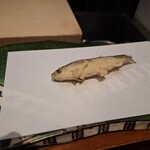 天ぷら 川辰 - ホンモロコ