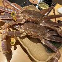 寿し島川 - 鮮度抜群の越前蟹