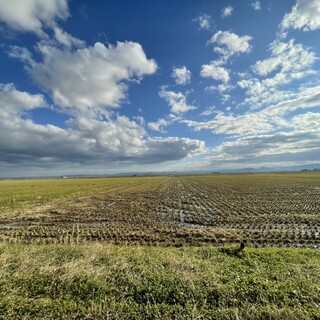 道の駅 おおがた 産直センター潟の店_1