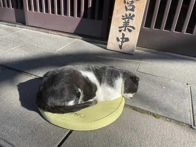 あごだし稲庭うどん 古泉洞（こせんどう） - 角館（うどん）の写真
