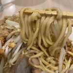 らーめん カッパハウス - 麺アップ