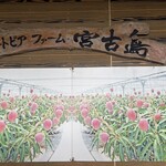 ユートピアファーム宮古島 - 