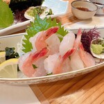 魚将　さかなちゃん - 