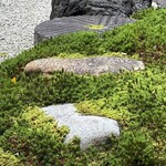 茶館きっかわ 嘉門亭 - この辺りはまだ苔が育つ様子