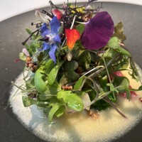 オトワ レストラン - 