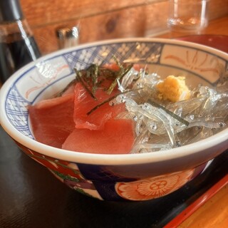 マイアミ貝新_0