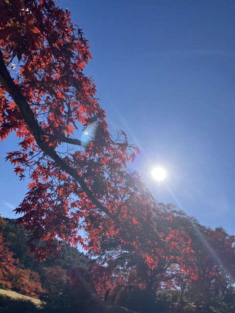 蛇の鼻茶屋 - 本宮（カフェ）の写真