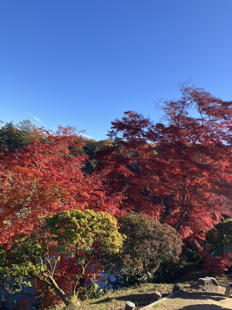 蛇の鼻茶屋 本宮カフェ &ndash; 福島の隠れ家で味わう和スイーツとドリンク