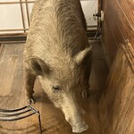 猪料理 やまおく - 