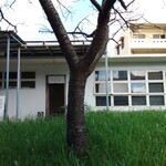 羊羊 YOYO AN FACTORY - 